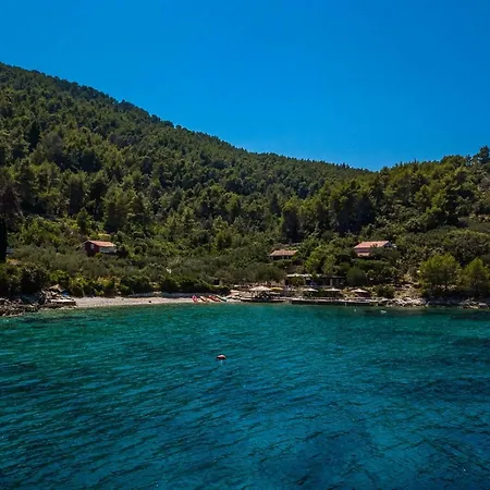 Holiday Ivka2 *